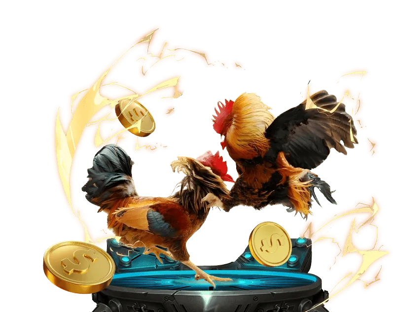 Dịch vụ hỗ trợ khách hàng trực tuyến 24/7